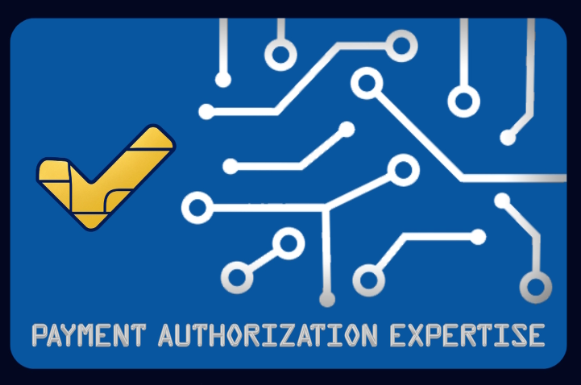 Payment Authorization Expertise